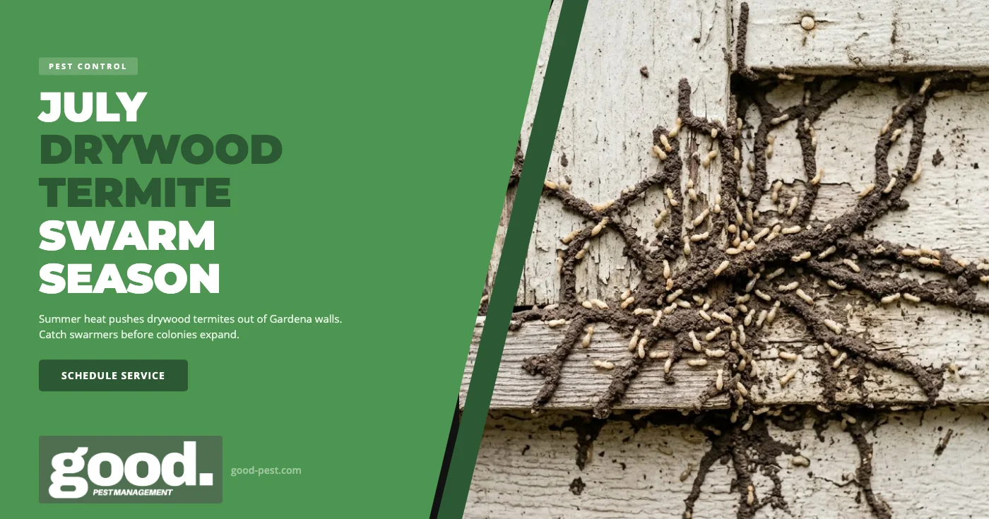 Drywood Termite Control in Gardena, CA