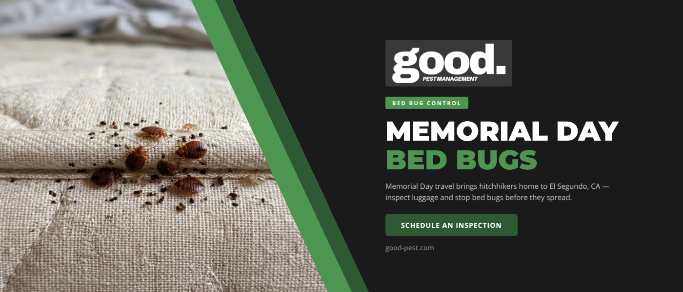 Bed Bug Control in El Segundo, CA After Memorial Day Travel